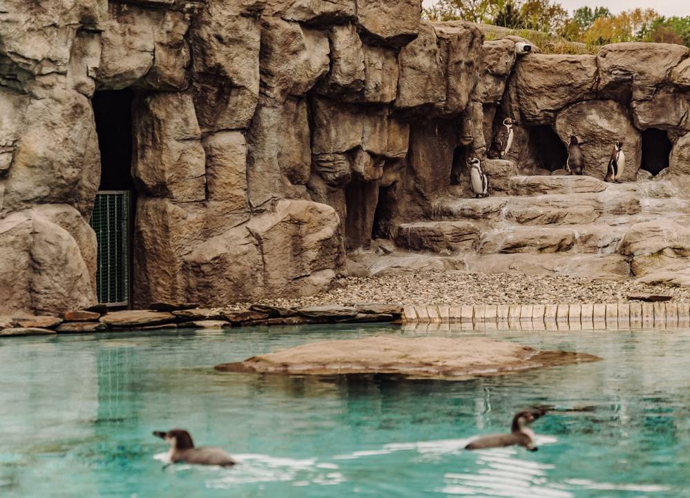 Śląski Ogród Zoologiczny