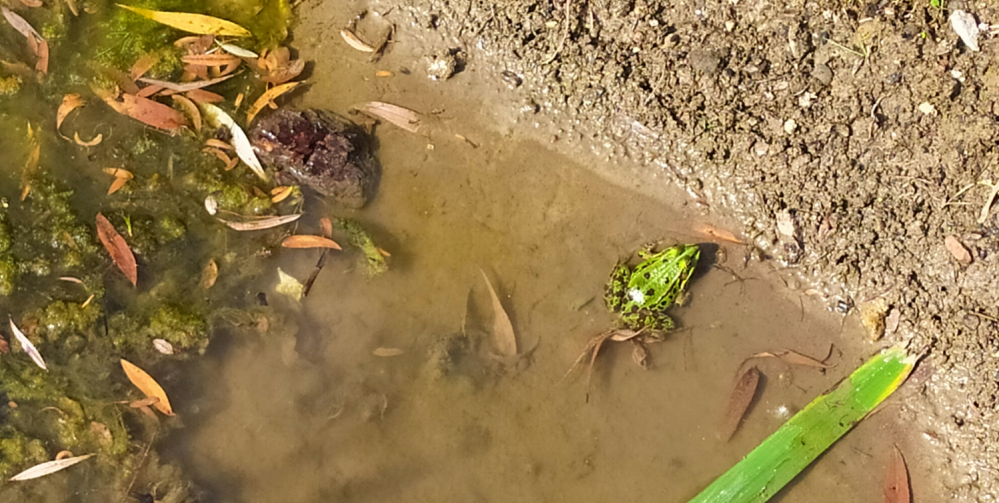 Atrakcje dla dzieci w okolicy Katowic