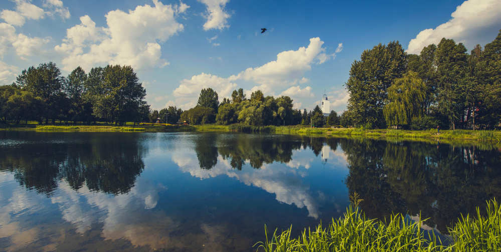 Rodzinne atrakcje dla dzieci na Śląsku