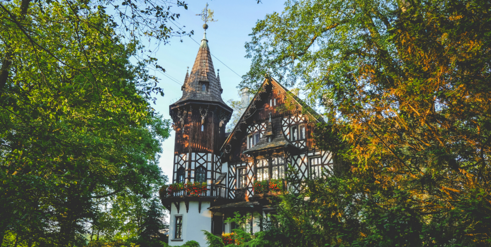 Najlepsze atrakcje dla dzieci w Pszczynie