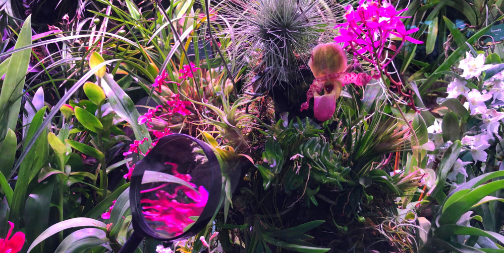 Wypoczynek z rodziną na Górnym Śląsku