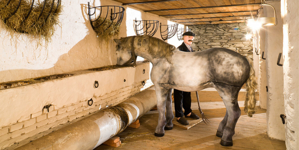 Najciekawsze atrakcje dla dzieci na Śląsku