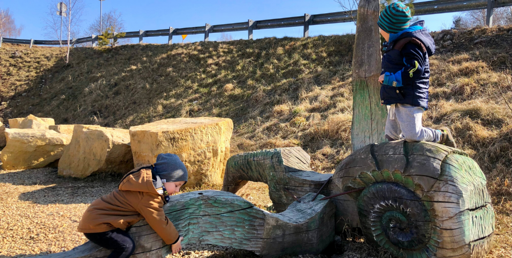 Wyprawy przyrodnicze z dziećmi 