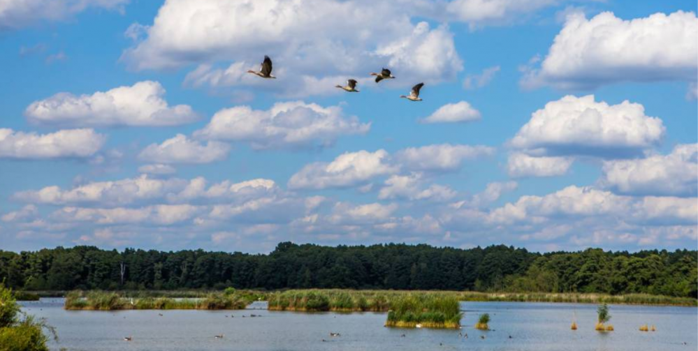 Rudy i atrakcje dla dzieci