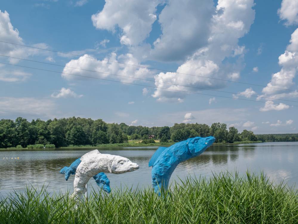 Rybnik z dzieckiem